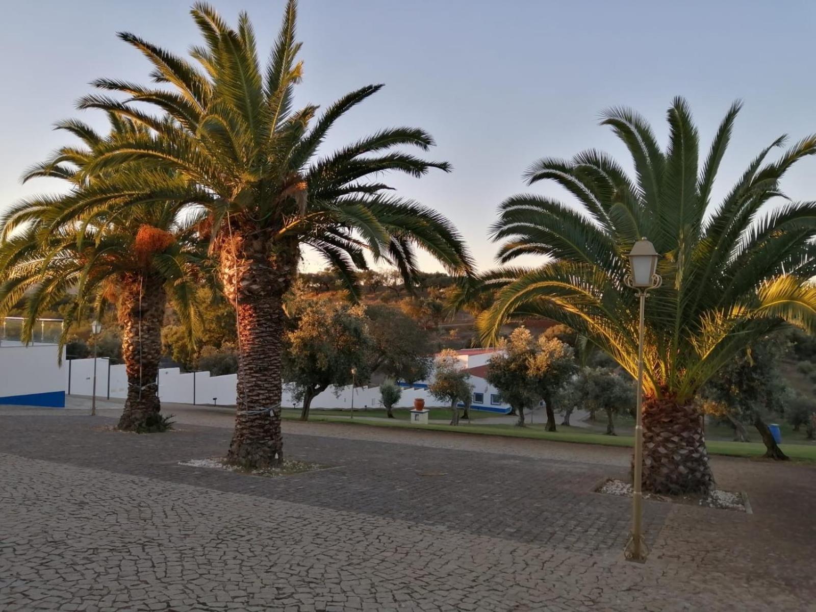 Monte Da Pechincha Bed & Breakfast Estremoz Exterior photo