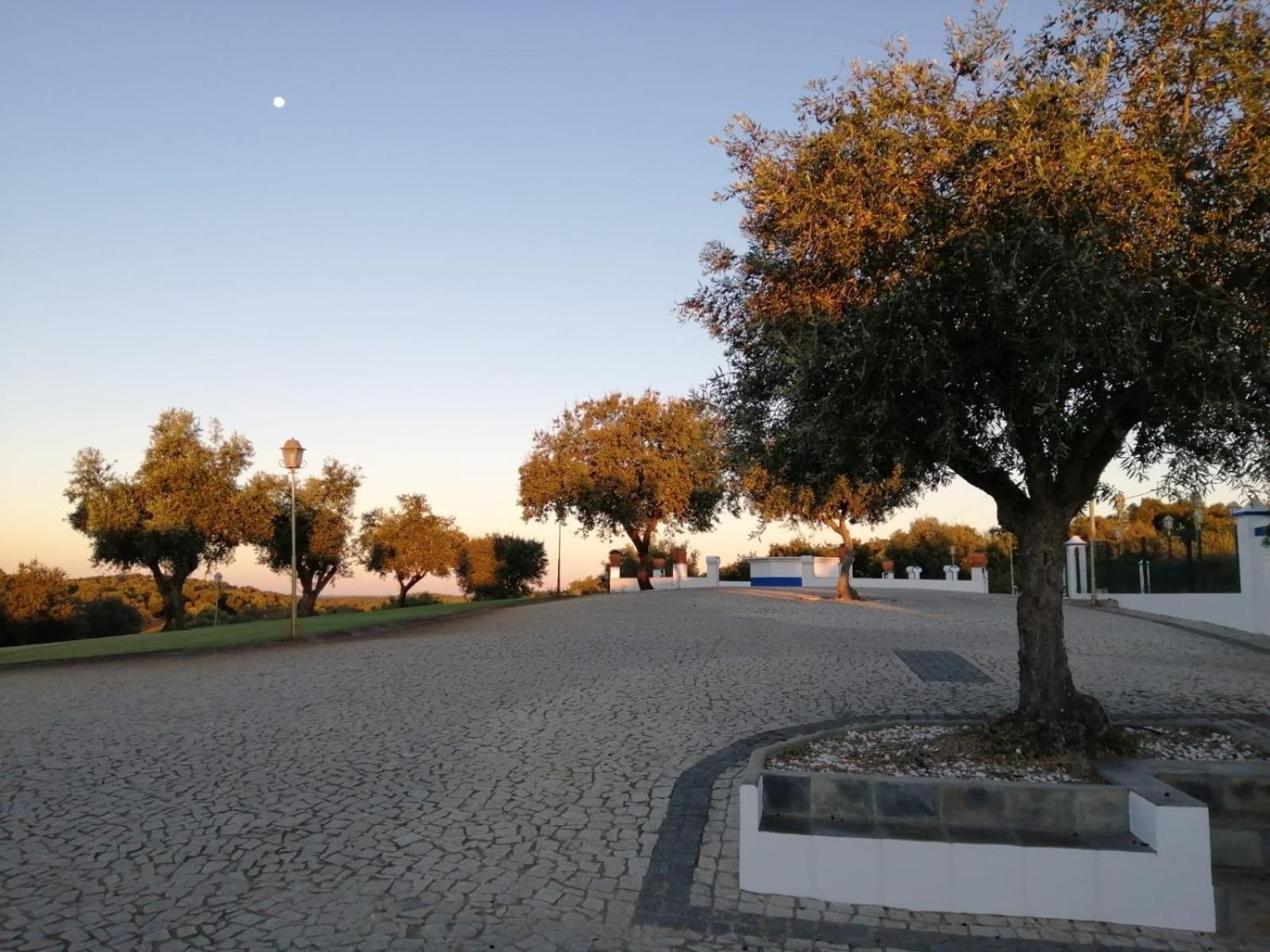 Monte Da Pechincha Bed & Breakfast Estremoz Exterior photo